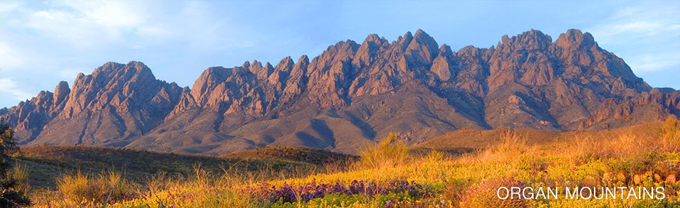 Organ Mountains